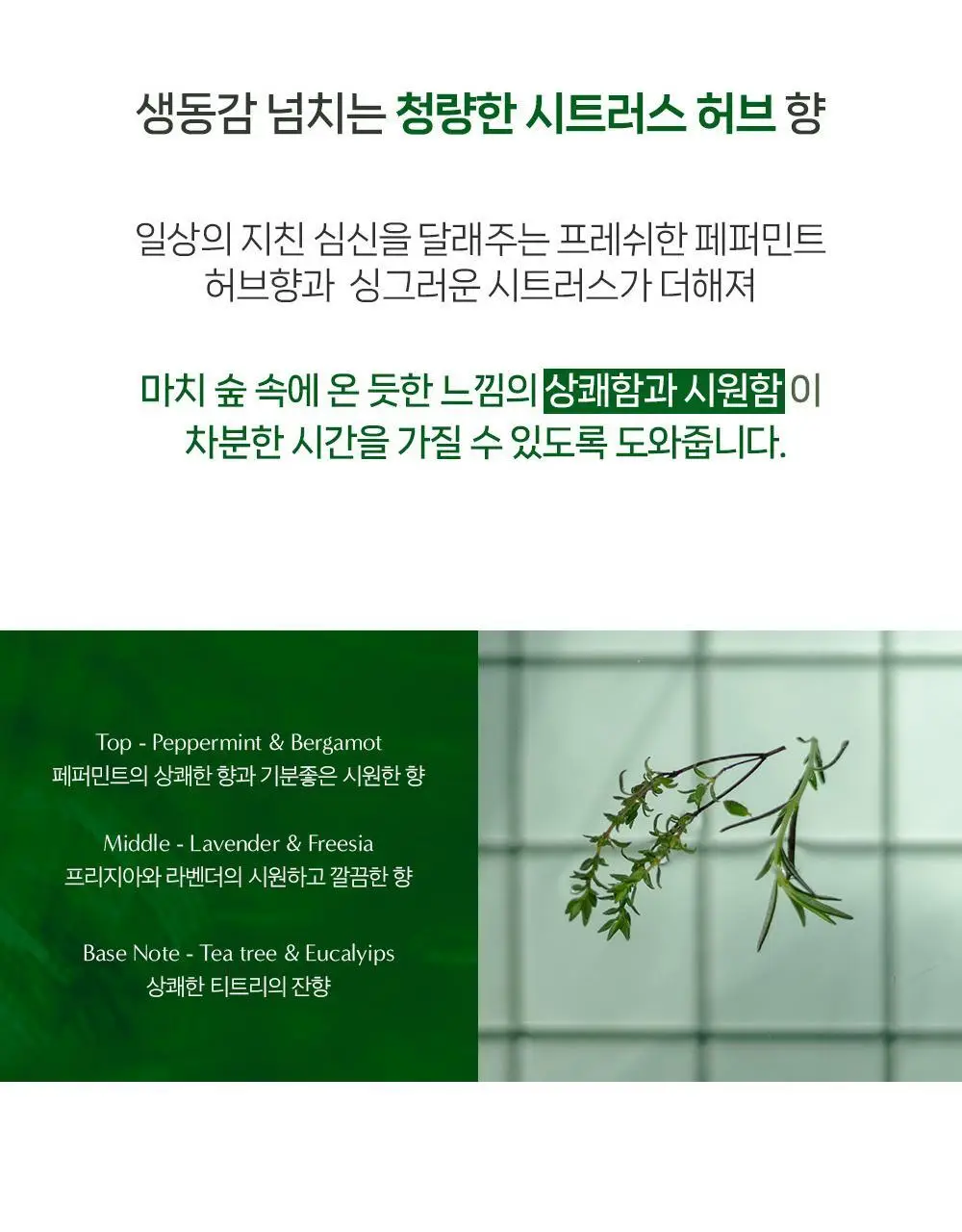 [탈모증상완화] 무백 아하바하 퓨리파잉 두피 스케일러 250ml 상세페이지 14